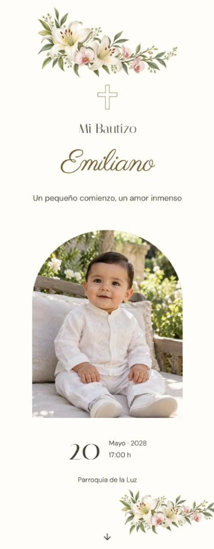 Imagen de muestra del diseño